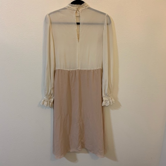 Vintage sheer Victorian insp dress - Picture 4 of 4